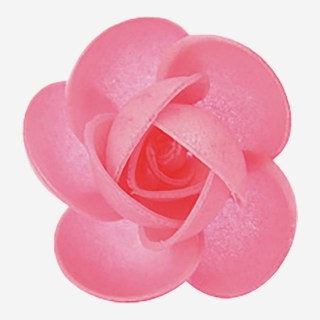 ROSE ROSA IN OSTIA CM 5 PZ 100