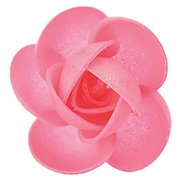 ROSE ROSA IN OSTIA CM 5 PZ 100