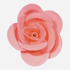 ROSA ROSA IN CIALDA DIAMETRO CM 4 PZ 100