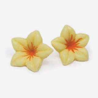 FIORE CHOC BIANCO/ARANCIO 76 PZ MM30 (NARCISO)