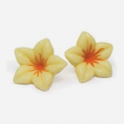 FIORE CHOC BIANCO/ARANCIO 76 PZ MM30 (NARCISO)