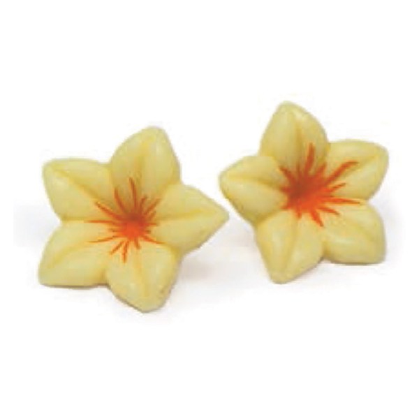 FIORE CHOC BIANCO/ARANCIO 76 PZ MM30 (NARCISO)