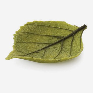 FOGLIA FINGER SALATA PRIMAVERILE PZ 80 FINGER FOOD