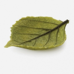 FOGLIA FINGER SALATA PRIMAVERILE PZ 80 FINGER FOOD