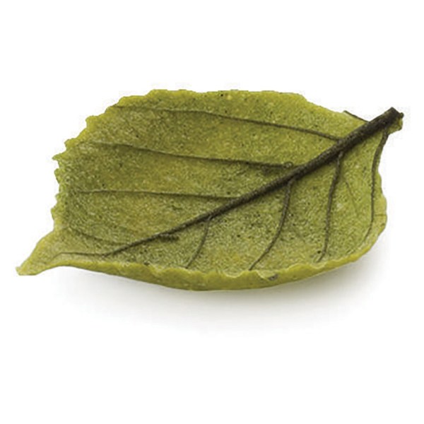 FOGLIA FINGER SALATA PRIMAVERILE PZ 80 FINGER FOOD