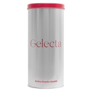 GELECTA GELATINA ISTANTANEA IN POLVERE ACTIVE POWDER GR 500
