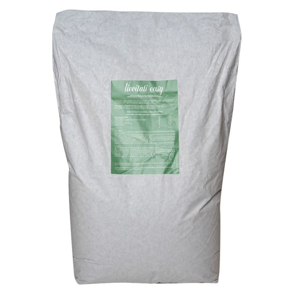 EASY MIX LIEVITATI BESOZZI DA KG 15