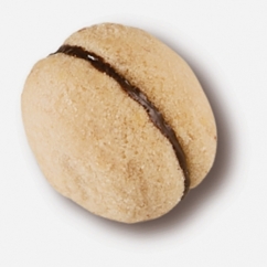 BACI DI DAMA TUTTOBURRO CONFEZIONE DA KG 2