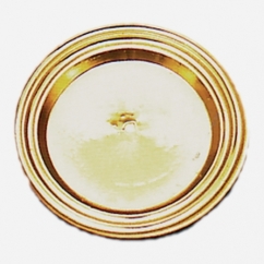 PIATTINI MONOPORZIONE CM 9,6 CIRCOLARI PZ 250 (D17)