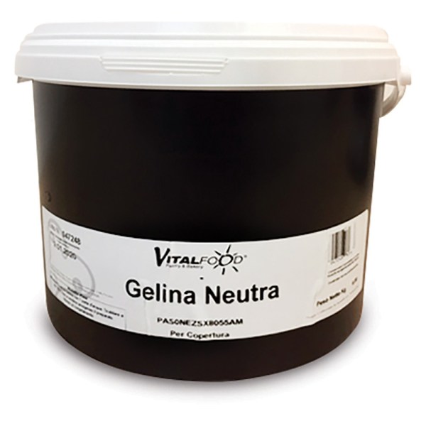 GELATINA GELINA A FREDDO NEUTRA IN CONFEZIONE DA KG 6