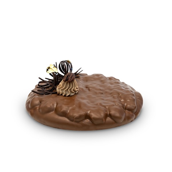 MIX CAKE NATURE DA KG 10 (4830)