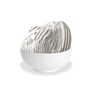 SPEEDY YOGURT KG 1,1 (P396)