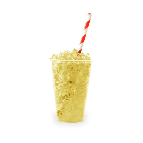 SPEEDY ANANAS CON PEZZI DA KG 1,25 (P245)