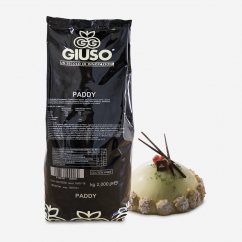 PADDY KG 2 (00219200)