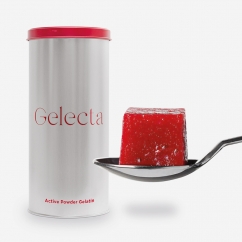 GELECTA GELATINA ISTANTANEA IN POLVERE ACTIVE POWDER GR 500