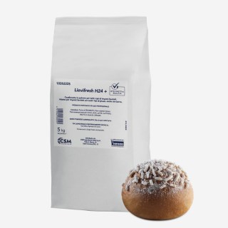 H24+ LIEVIFRESH DA KG 5