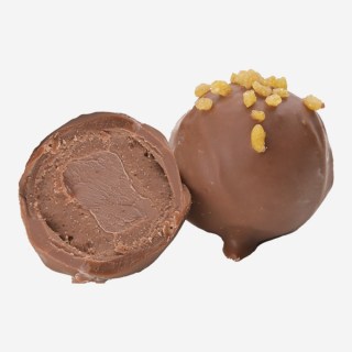 PRALINA TARTUFO AL CARAMELLO SALATO DA KG 2,4