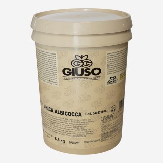 PASSATA ORO ALBICOCCA UNICA CONFEZIONE DA KG 6,5 (04052160C)