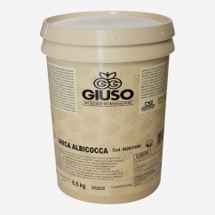 PASSATA ORO ALBICOCCA UNICA CONFEZIONE DA KG 7 (04052160D)