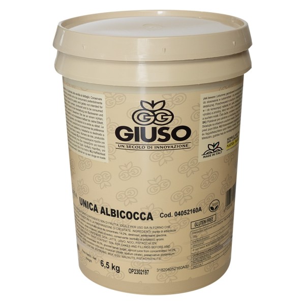 PASSATA ORO ALBICOCCA UNICA CONFEZIONE DA KG 7 (04052160C)