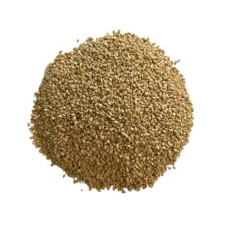 SEMI DI SESAMO DOPPIA PULITURA IN CONFEZIONE DA KG 1