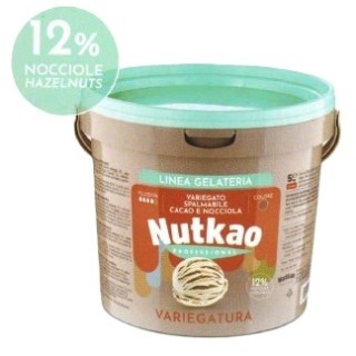 ICE NUT VARIEGATO NOCCIOLE (12%) LATTE E CACAO DA KG 5