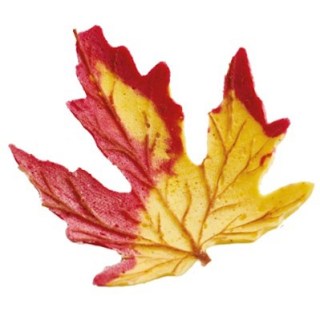 *FOGLIA DI VITE 55x90 MM PZ 80 - FINGER FOOD