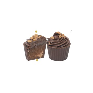 PRALINA CHOCOCUP CARAMELLO SALATO DA KG 1,5