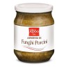 ARMONIA/CREMA DI FUNGHI PORCINI PESO NETTO 500GR