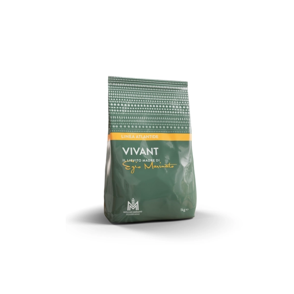 VIVANT LIEVITO MADRE PER PANIFICAZIONE DA KG 1