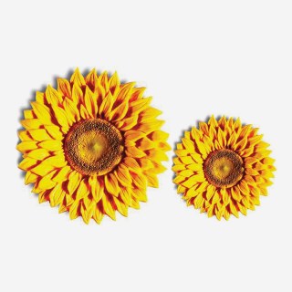 GIRASOLE IN ZUCCHERO DIAM 4 E 6,5 CM ASSORTITI PZ 24