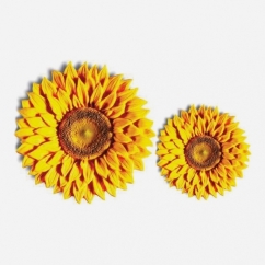 GIRASOLE IN ZUCCHERO DIAM 4 E 6,5 CM ASSORTITI PZ 24