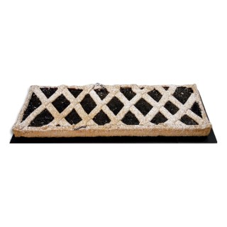 Crostata Rettangolare Visciole Frozen 2 kg
