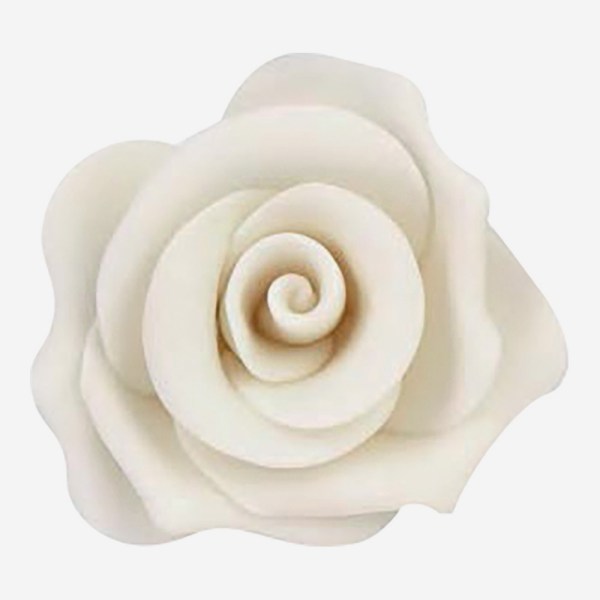 ROSA IN ZUCCHERO ROSA MEDIA CM 6 PZ 12