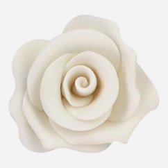 ROSA IN ZUCCHERO ROSA MEDIA CM 6 PZ 12