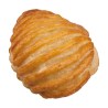 Conchiglia Lattepanna Prontoforno 85 g 60 pz