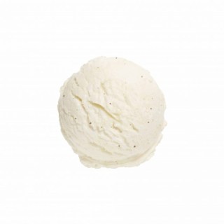 Gelato alla Vaniglia in Barattolo 4,2 kg