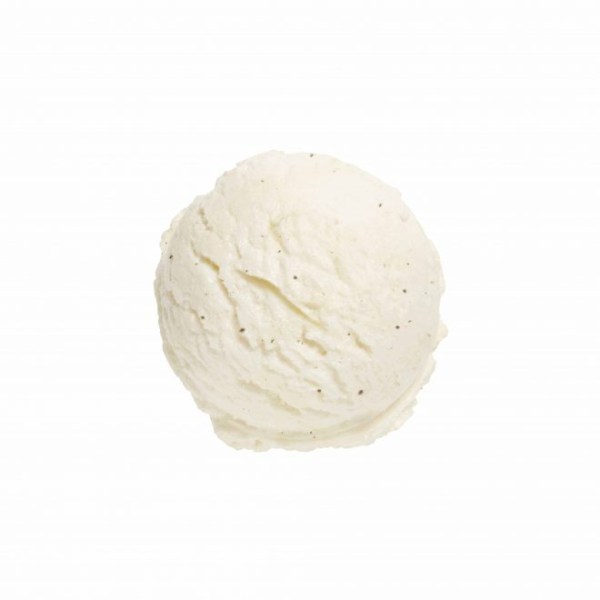 Gelato alla Vaniglia in Barattolo 4,2 kg