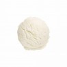 Gelato alla Vaniglia in Barattolo 4,2 kg