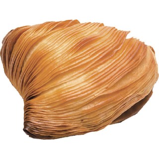 Sfogliatella Riccia Cinquestelle 135/140 g 60 pz