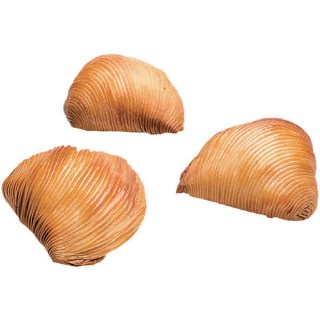 Riccia Mignon Cinquestelle Surgelata 10 kg
