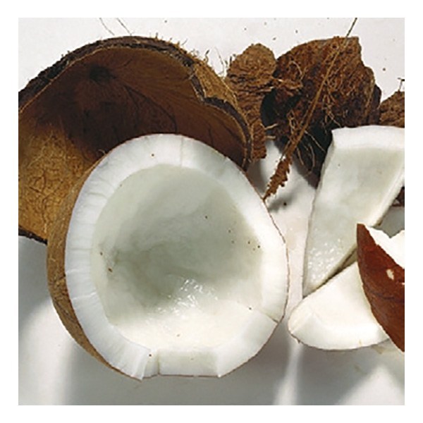 Polpa di Cocco Surgelata 6 x 1 kg