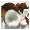 Polpa di Cocco Surgelata 6 x 1 kg