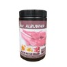 55028/BIANCO D'UOVO IN POLVERE (ALBUWHIP) (500 GR)