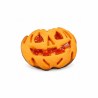 Biscotto Zucca Glassato allAlbicocca 1,5 kg