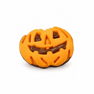 Biscotto Zucca Glassato Nocciola e Cacao 1,5 kg