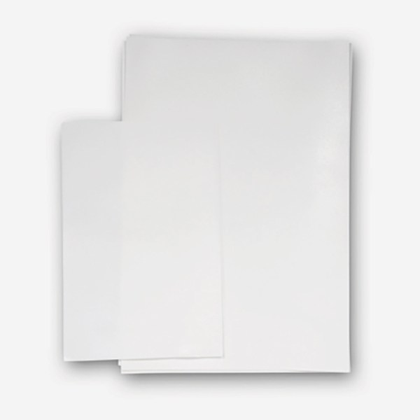 FOGLI IN OSTIA (SPESSA) MISURA A4 PER STAMPANTE PZ 100