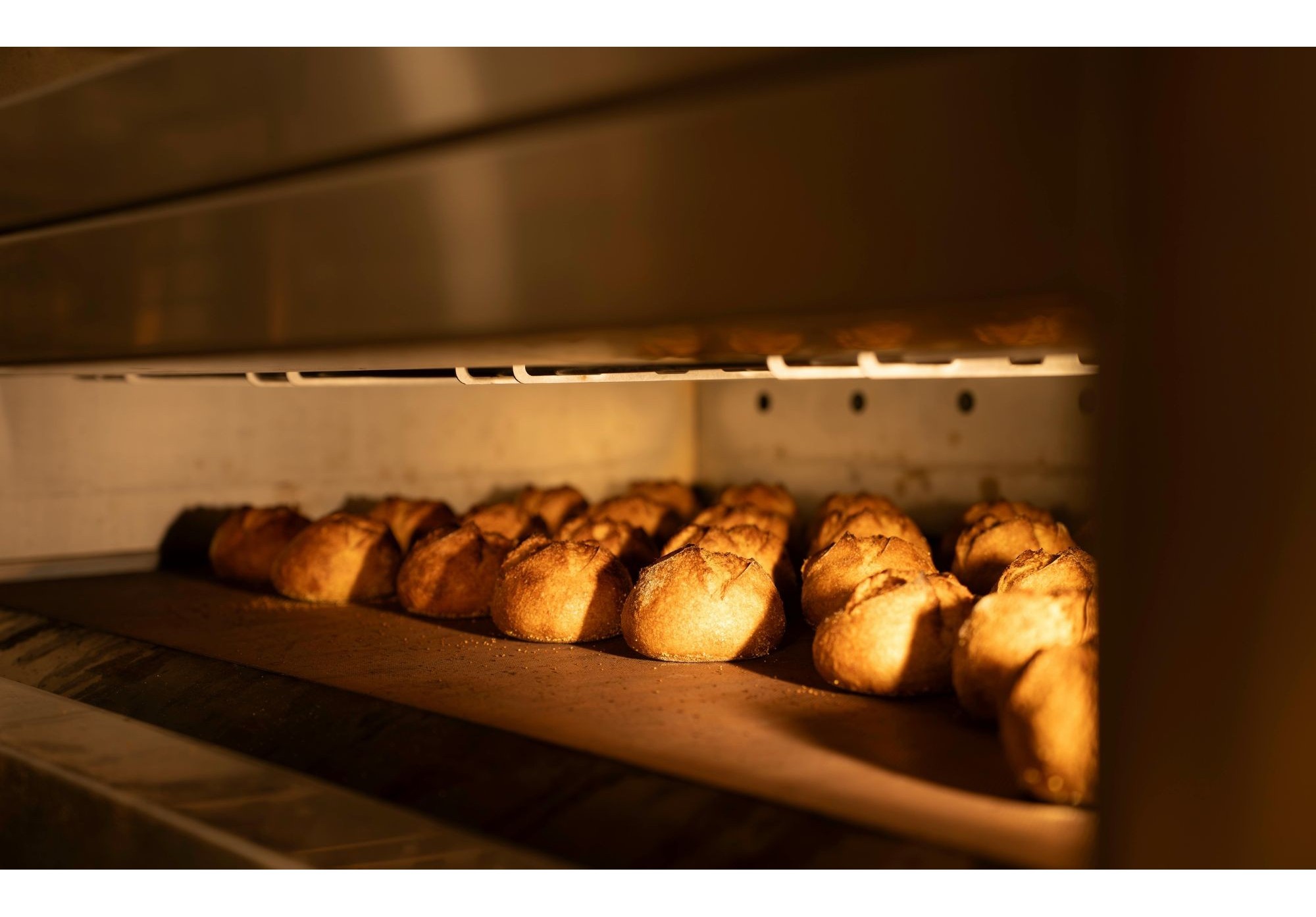 Forniture Professionali per la Panificazione | DOLCINGREDIENTS