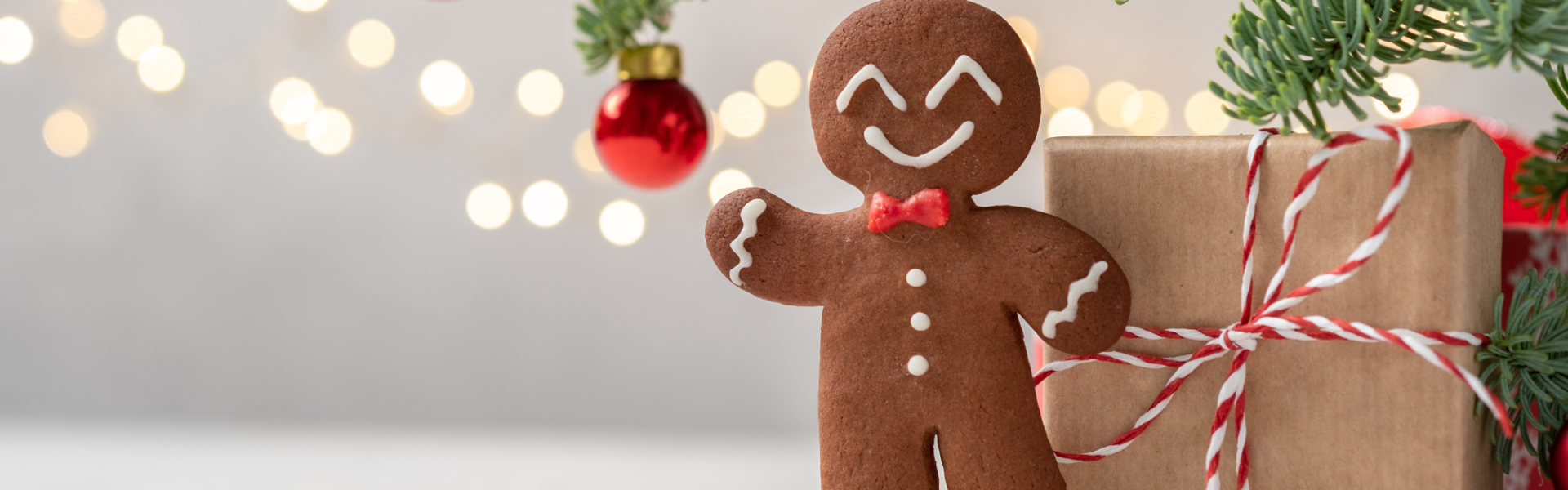 Forniture Natale Pasticceria: Panettone, Pralineria e Canditi