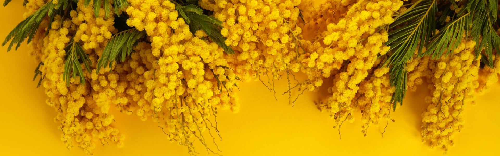 Ingredienti e Decorazioni Festa della Donna | Dolcingredients